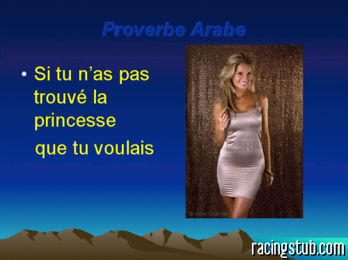 proverbe-arabe-cbcb4.png