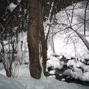 neige-1er-mars-metzeral-wormsa-004-b7db7.jpg