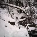 neige-1er-mars-metzeral-wormsa-015-4ab18.jpg