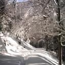 neige-4-mars-metzeral---wormsa-026-399a4.jpg