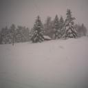 neige-6-mars--schnepfenried-003-dd90a.jpg