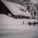 neige-6-mars--schnepfenried-017-8b8e0.jpg