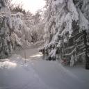 neige-6-mars--schnepfenried-024-552c5.jpg