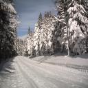 neige-6-mars--schnepfenried-031-635c8.jpg