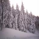 neige-6-mars--schnepfenried-033-aaff8.jpg