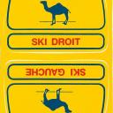 camel-skis-aec83.jpg