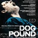dog-pound-a8147.jpg
