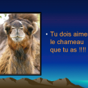 proverbe-arabe--1--b1a5f.png