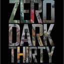 zero-dark-thirty-4ec95.jpg