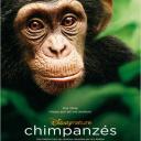 chimpanze--769-s-4ec95.jpg